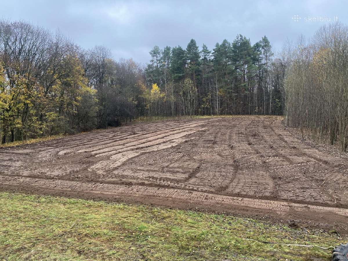 Kelmų, Krūmų Frezavimas, Apleistų plotų tvarkymas - nuotraukos Nr. 3