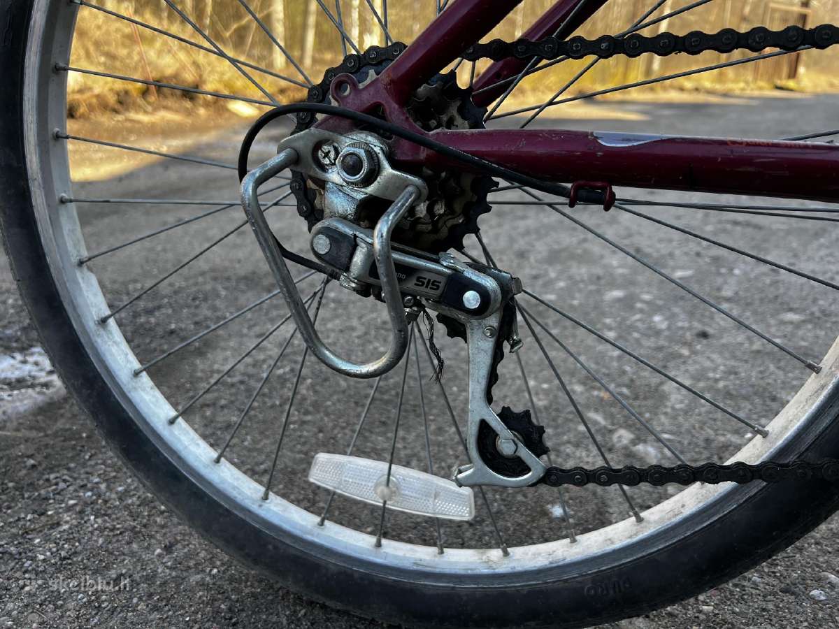 Vaikiškas dviratis Raleigh - nuotraukos Nr. 3