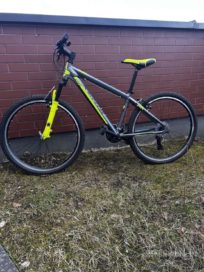 Parduodamas dviratis MTB Xeris plus 38 size
