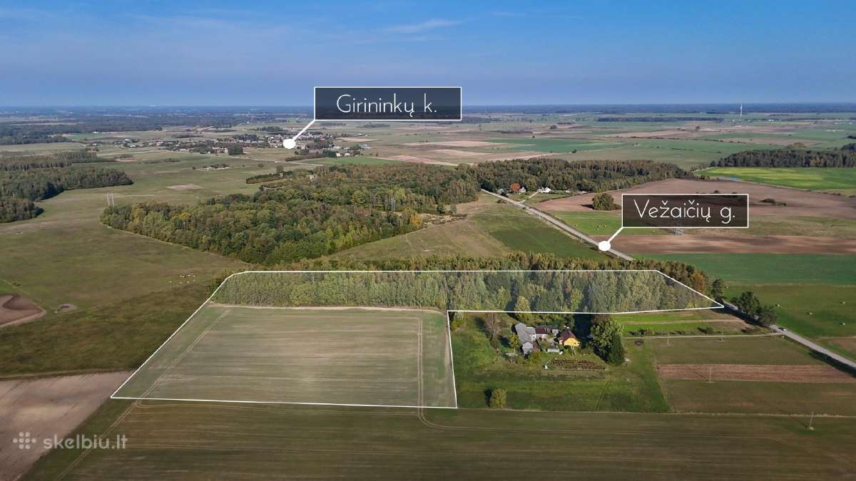 4,8 ha su mišku - sodybai + tik ~69€/a - nuotraukos Nr. 6