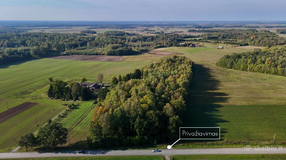 4,8 ha su mišku - sodybai + tik ~69€/a - nuotraukos Nr. 9