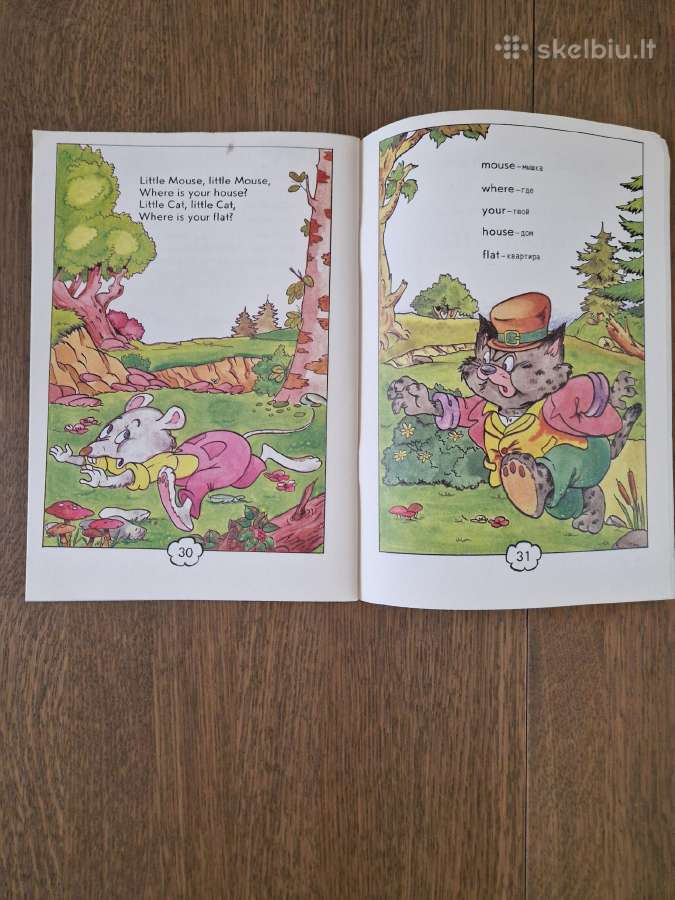 Knygelės anglų k. mokymuisi - nuotraukos Nr. 13