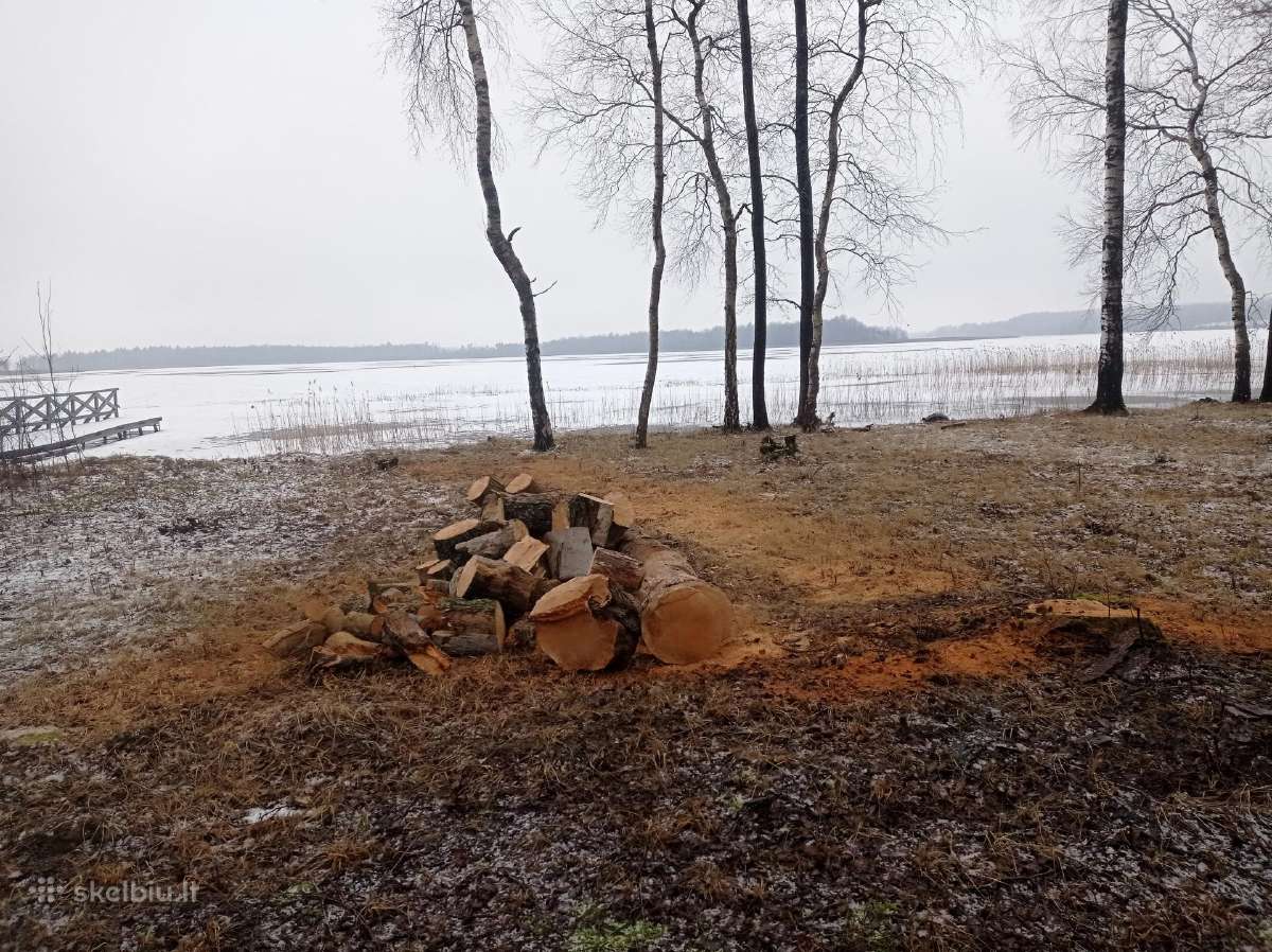 Malkos skaldytos ir kaladem. Aplinkos tvarkymas. - nuotraukos Nr. 17