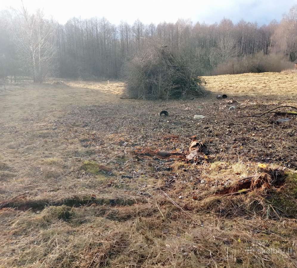Malkos skaldytos ir kaladem. Aplinkos tvarkymas. - nuotraukos Nr. 18