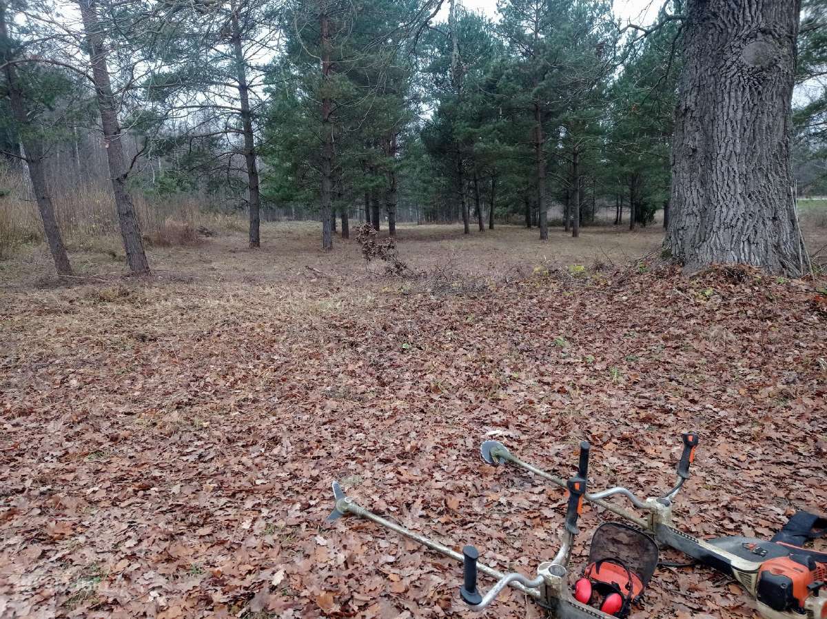 Malkos skaldytos ir kaladem. Aplinkos tvarkymas. - nuotraukos Nr. 20