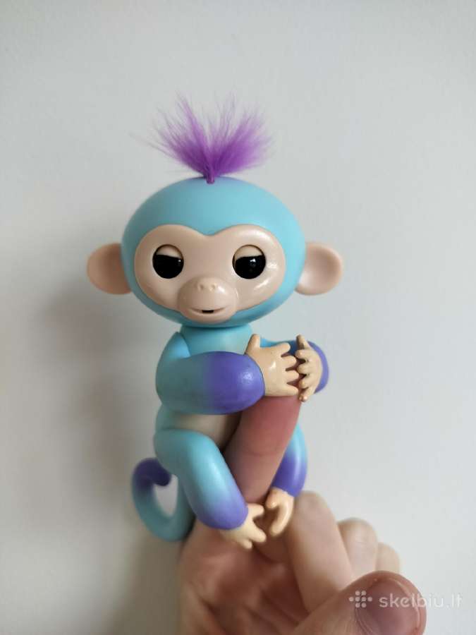 Fingerlings piršto beždžionytė