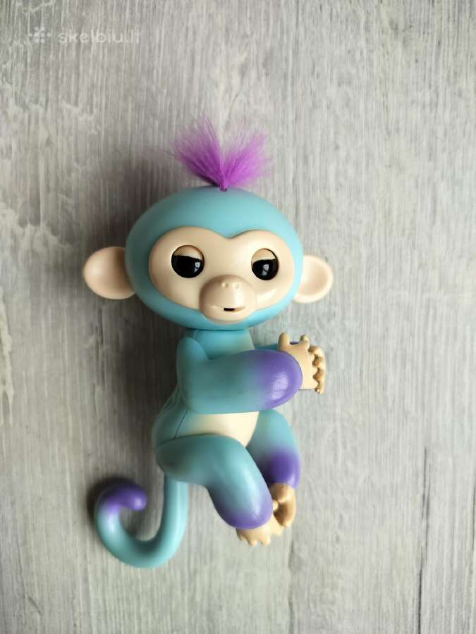 Fingerlings piršto beždžionytė - nuotraukos Nr. 2