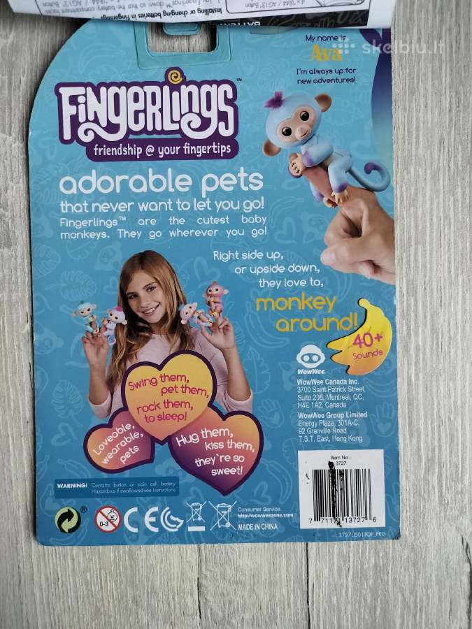 Fingerlings piršto beždžionytė - nuotraukos Nr. 3