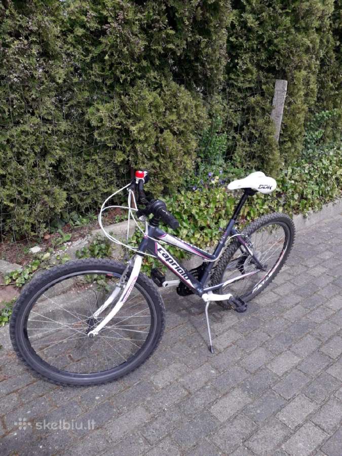 Jaunuolio dviratis 120 eurų