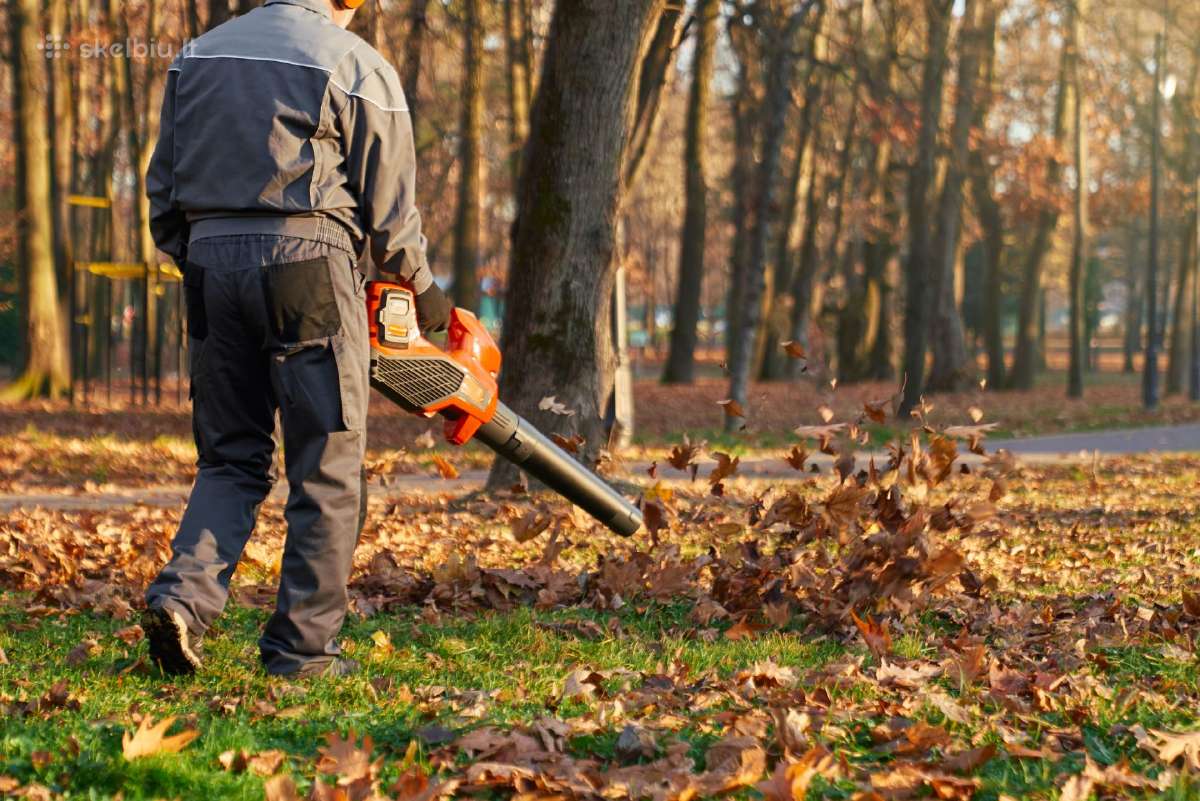 Vairuojančio daugiabučių aplinkų tvarkytojo Kaune