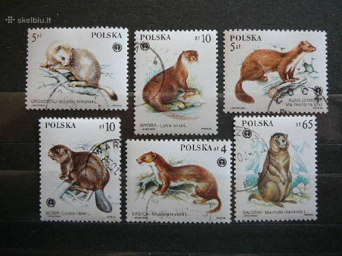 Zverys kailiniai Lenkija 1984 antsp. lk2946a