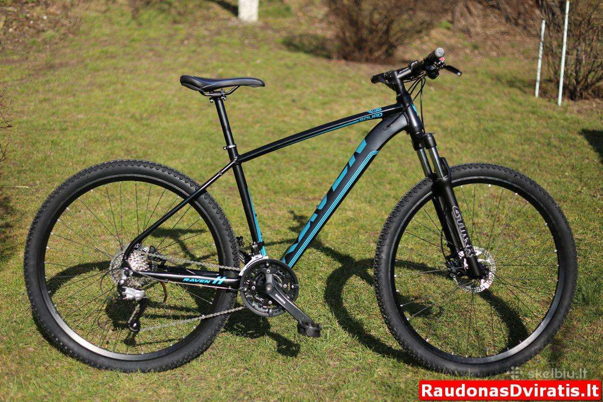 Naujas 29 Raven mėlynas 48cm