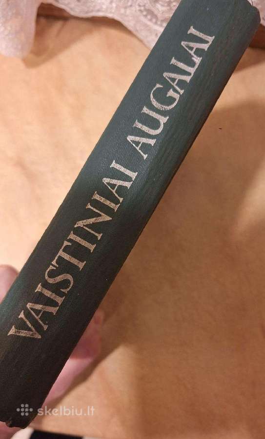 Vaistiniai augalai. 1973m. - nuotraukos Nr. 2