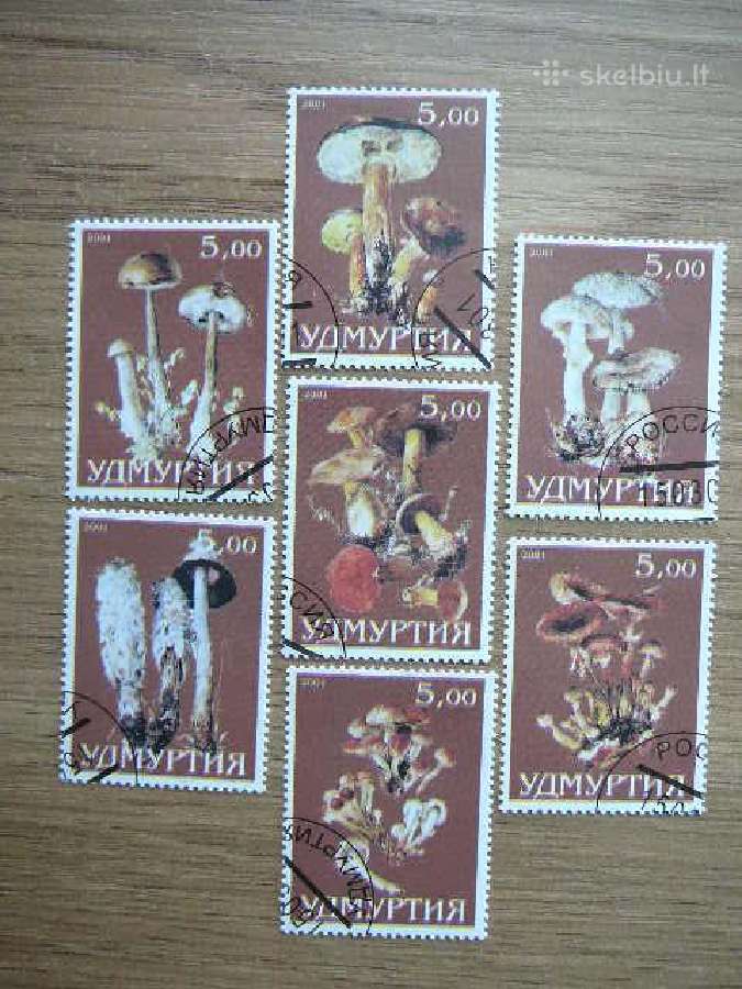 Grybai Udmurtija (R) 2001 antsp. udm47