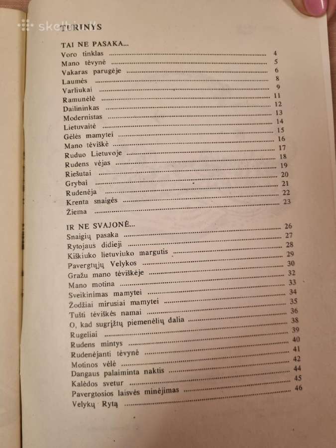 Voro tinklas - nuotraukos Nr. 5