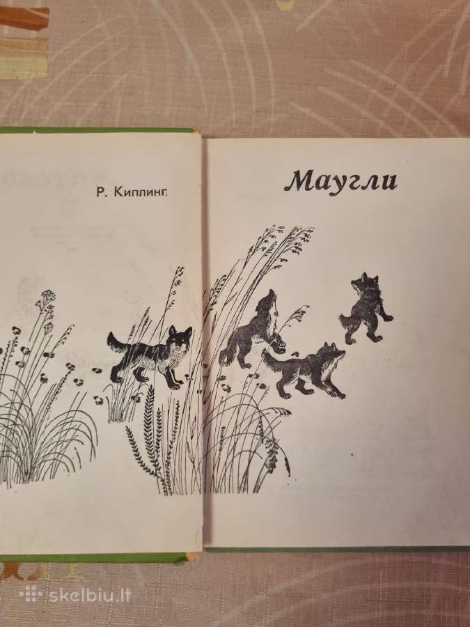 Maugli - nuotraukos Nr. 2