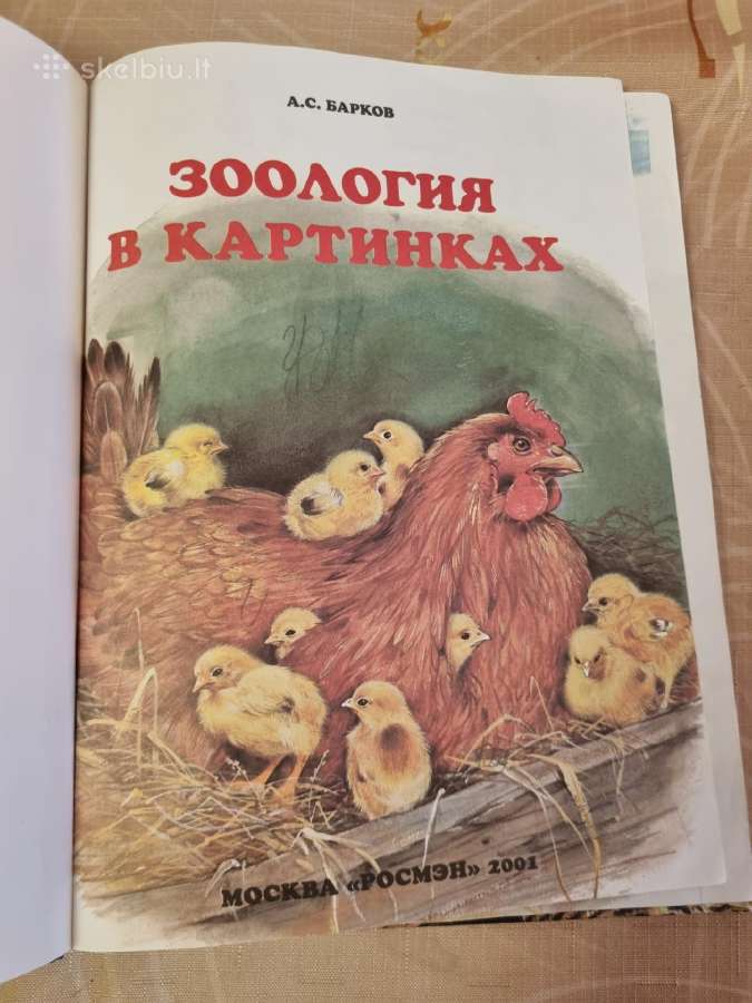 Zoologija paveikslėliuose - nuotraukos Nr. 2