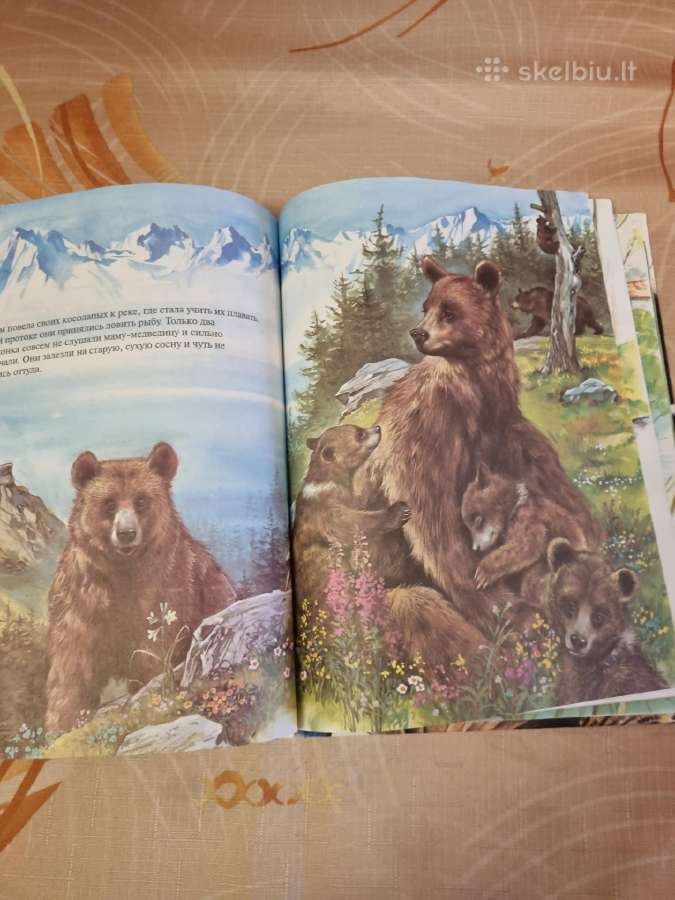 Zoologija paveikslėliuose - nuotraukos Nr. 4
