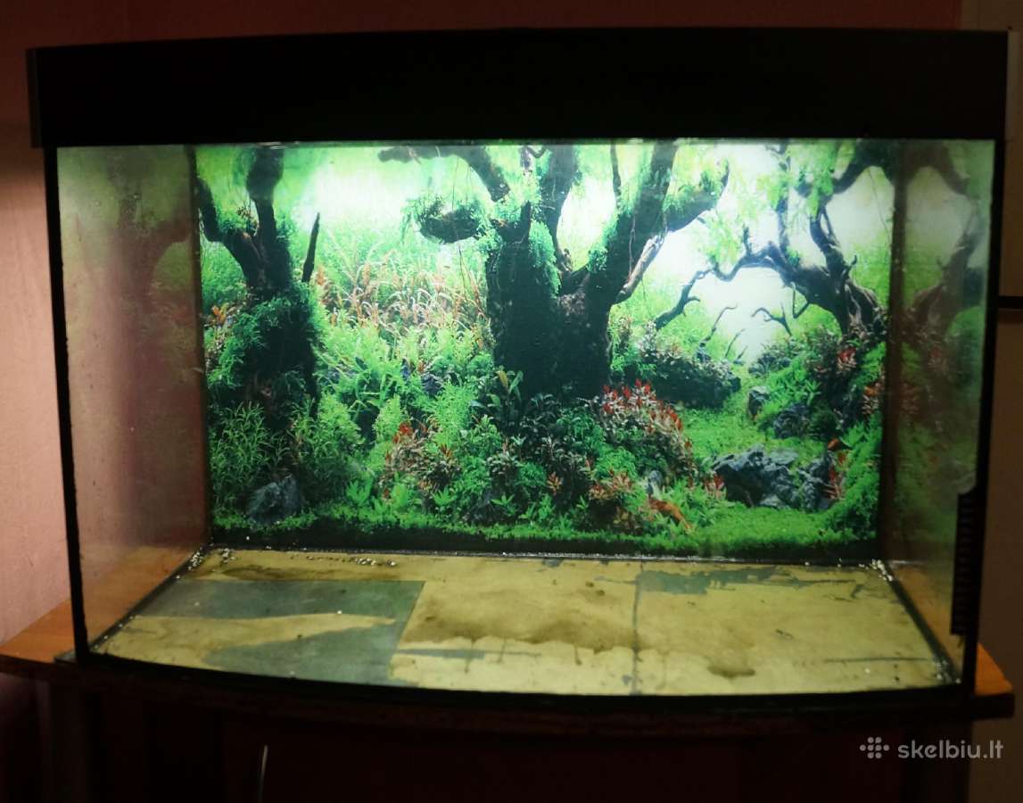 180 l akvariumas su spintele.