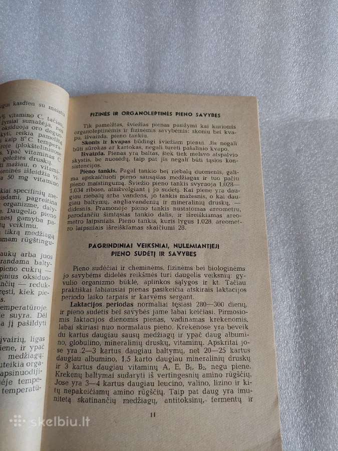 Pienas ir pieniškas maistas - nuotraukos Nr. 3
