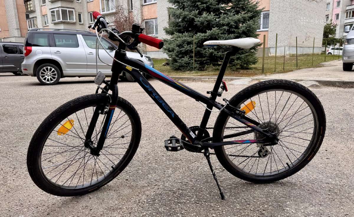 Orbea Mx24 Dirt