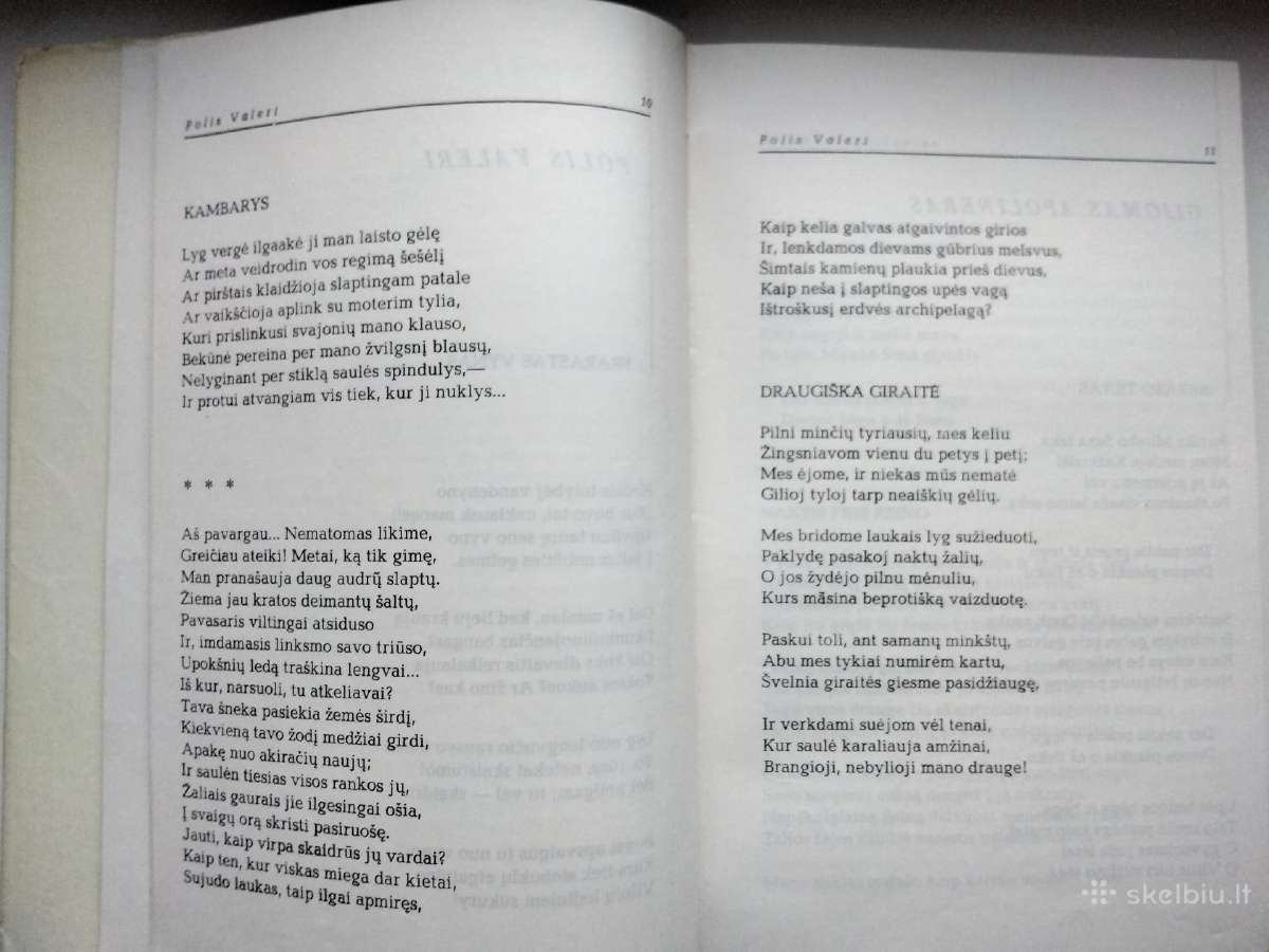 XX a. Vakarų poetai. 1969 m. leid. - nuotraukos Nr. 3
