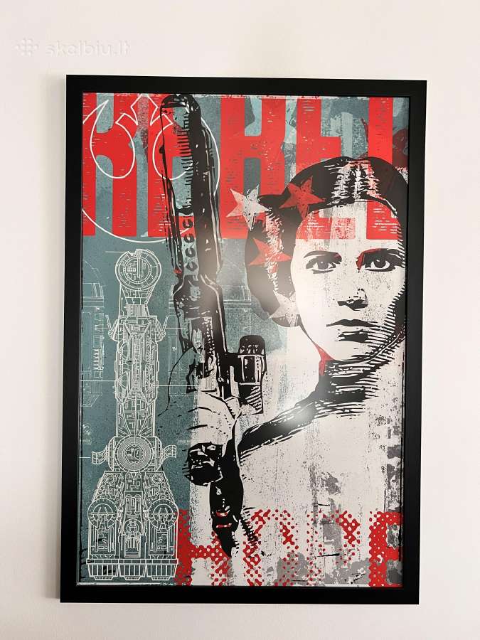 Plakatas Leia Organa Star Wars
