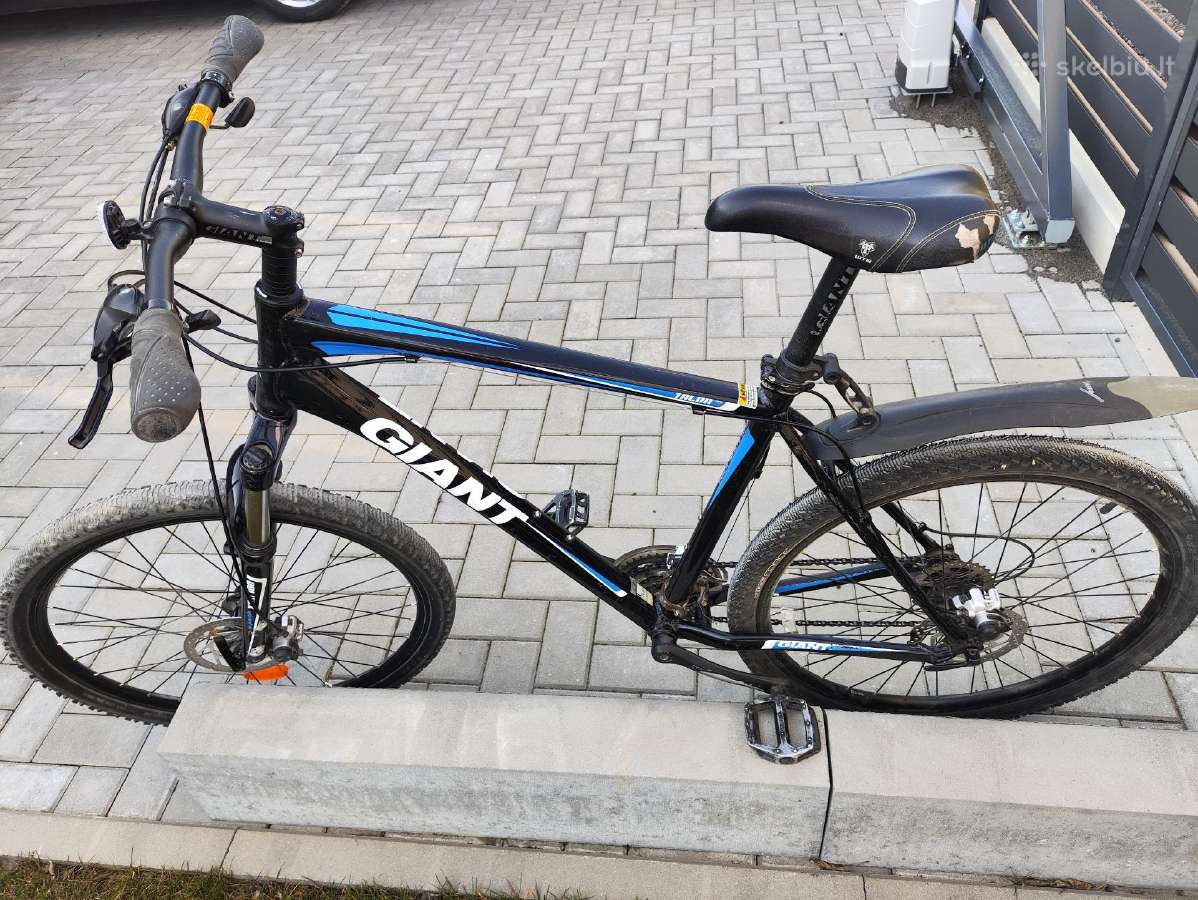 Kalnu dviratis Giant talon 3