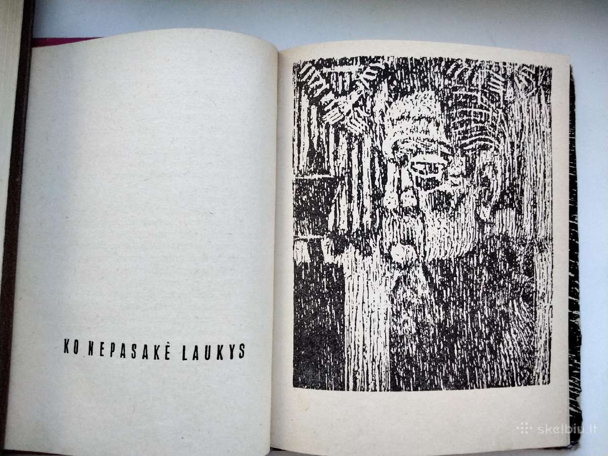 J. Baltušis. Valiusei reikia Alekso. Tėvų ir broli - nuotraukos Nr. 7