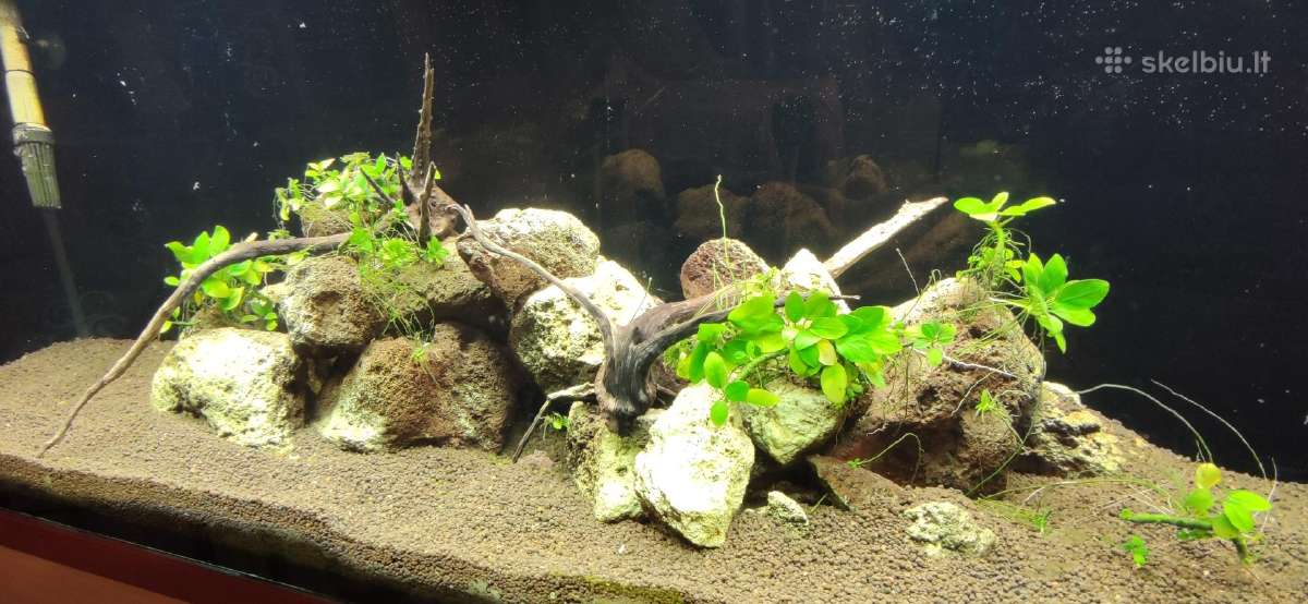 240 l tūrio akvariumas su priedais