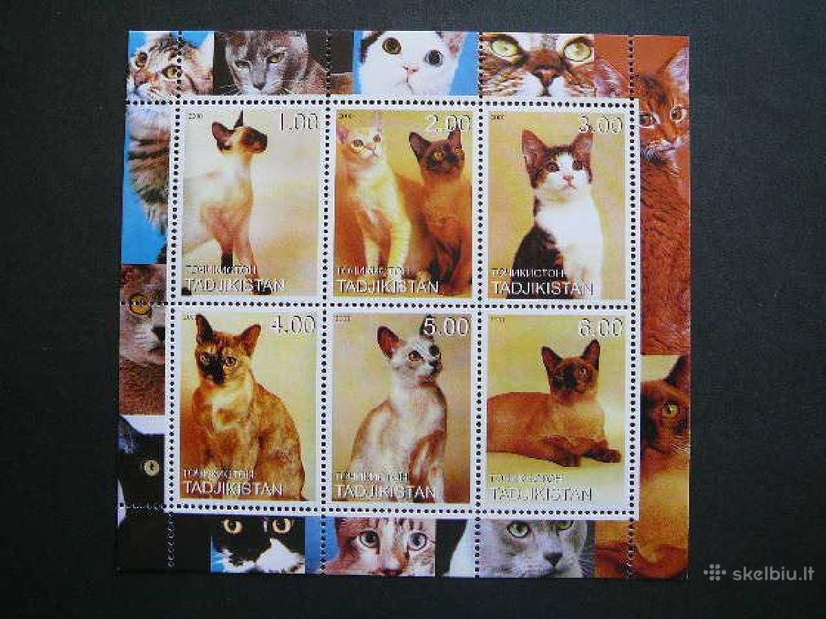 Kates Tadzikistanas 2000 Mnh td443