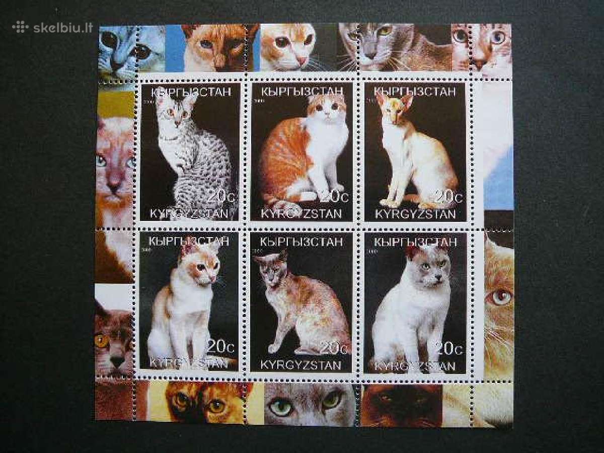 Kates Kirgizija 2000 Mnh kg187