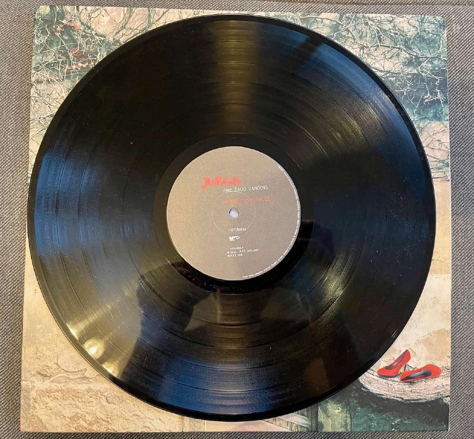 Lietuviški vinilai: Jurga, Mamontovas, Somov - nuotraukos Nr. 12