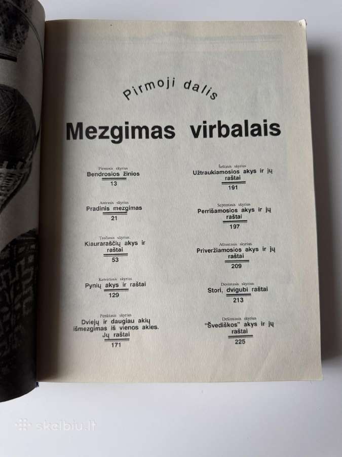 Didžioji mezgėja - nuotraukos Nr. 5