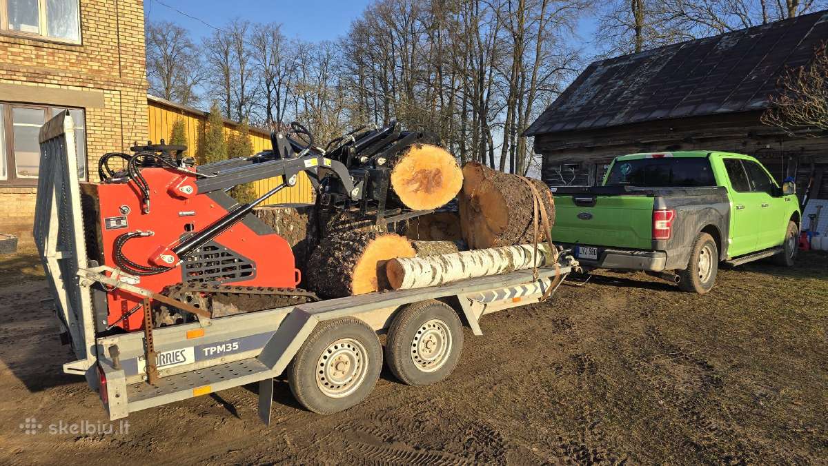 Medžių pjovimas, genėjimas - nuotraukos Nr. 35