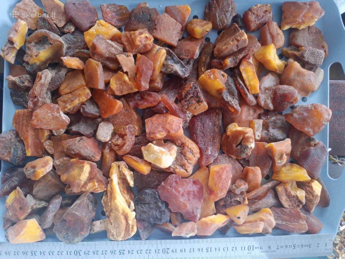 Gintaras 5 kg - nuotraukos Nr. 7