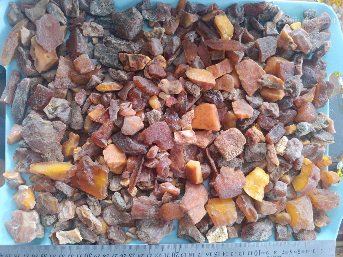 Gintaras 5 kg - nuotraukos Nr. 8