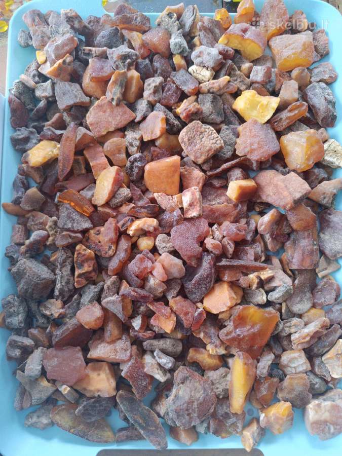 Gintaras 5 kg - nuotraukos Nr. 9