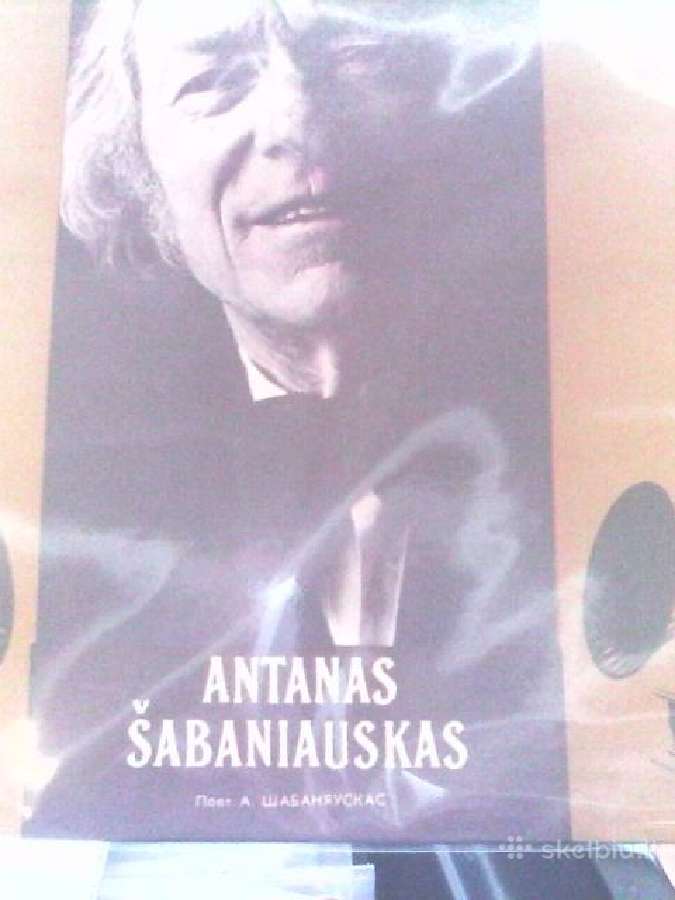Lietuviškos muzikos atlikėjai - nuotraukos Nr. 22