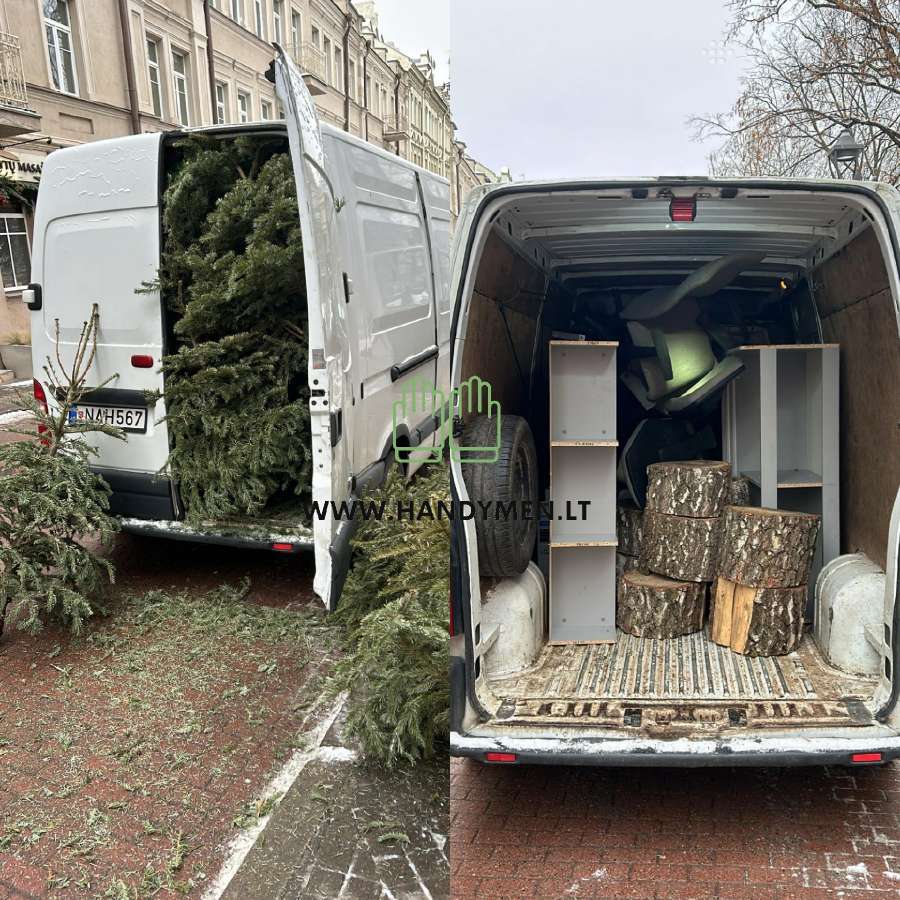 Aplinkos priežiūra ir teritorijų tvarkymas - nuotraukos Nr. 15