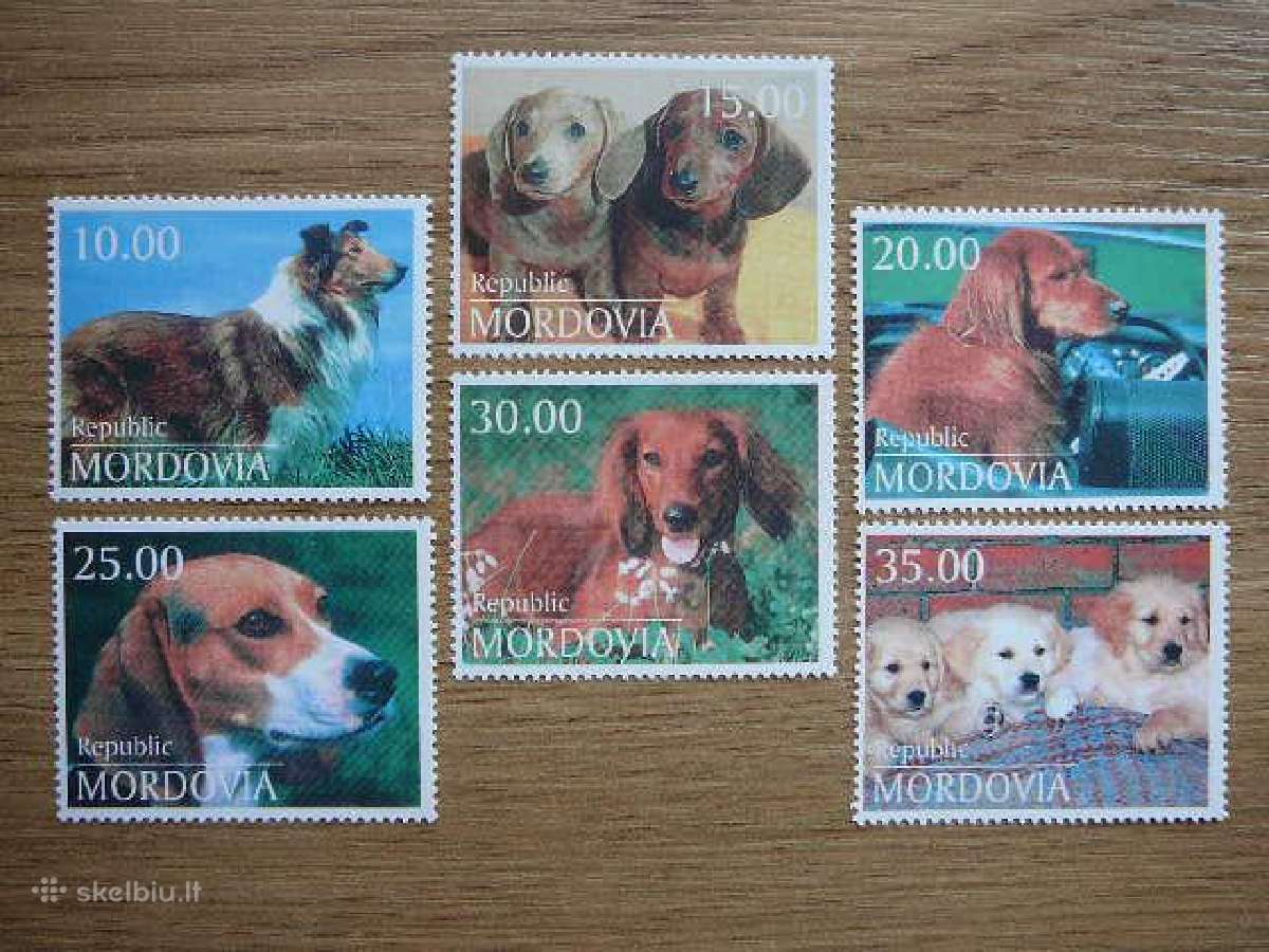 Sunys Mordovija (R) 2000 svarus mrd315