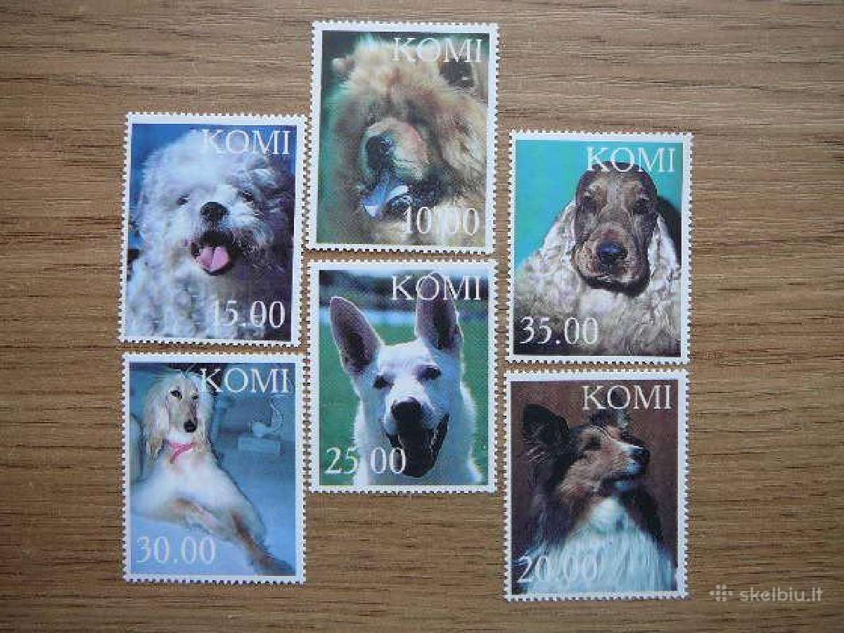Sunys Komi (R) 2000 svarus km61