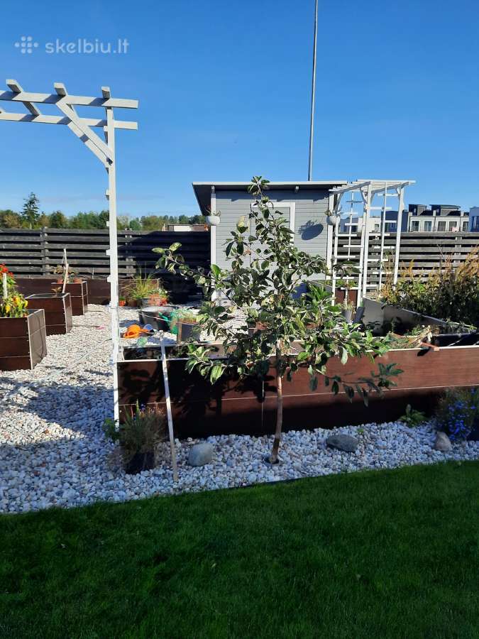 Pakeltos/paaukštintos lysvės iš jūrinės fanieros - nuotraukos Nr. 13
