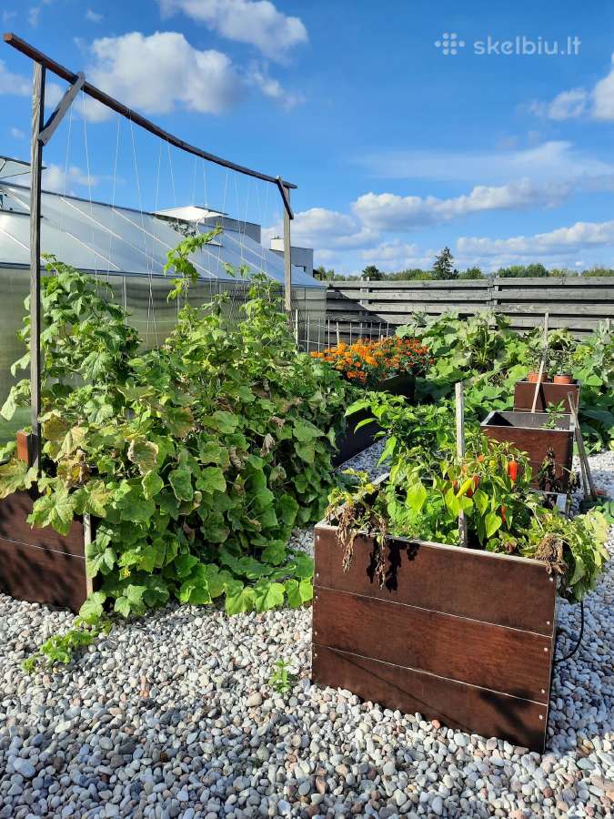 Pakeltos/paaukštintos lysvės iš jūrinės fanieros - nuotraukos Nr. 14