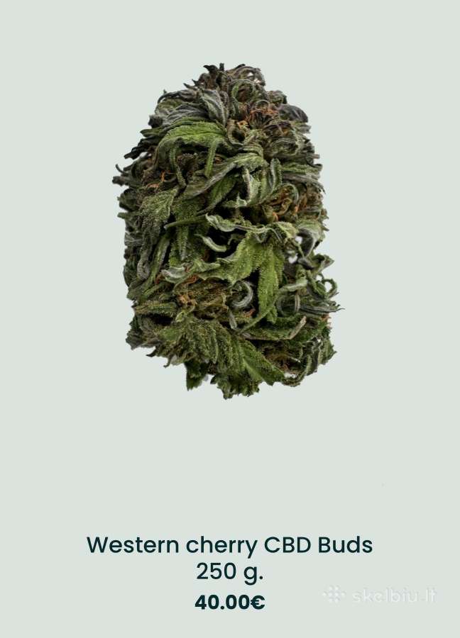 Cbd žiedai - nuotraukos Nr. 3