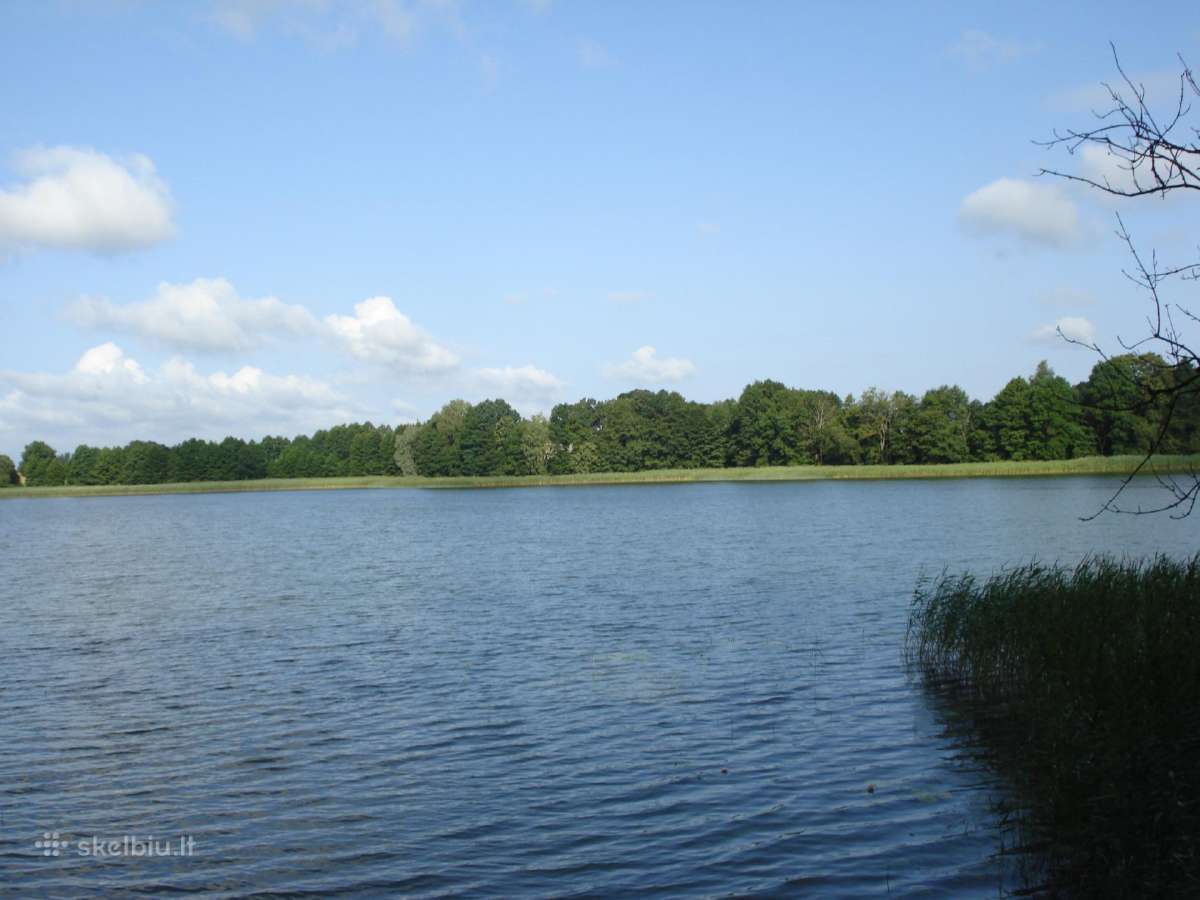 Namų valda prie Šarkio ež