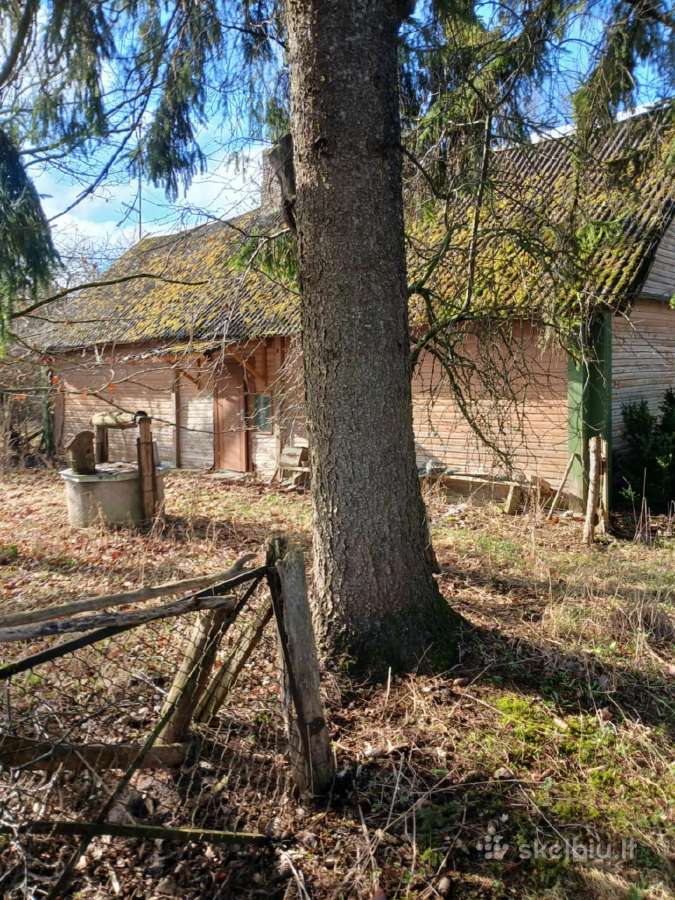 Parduodamas 18 a. skypas Ėriškiuose - nuotraukos Nr. 7