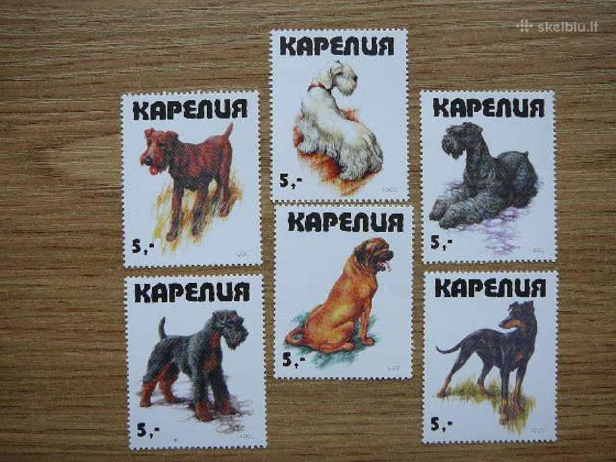 Sunys Karelija (R) 1999 svarus kr81