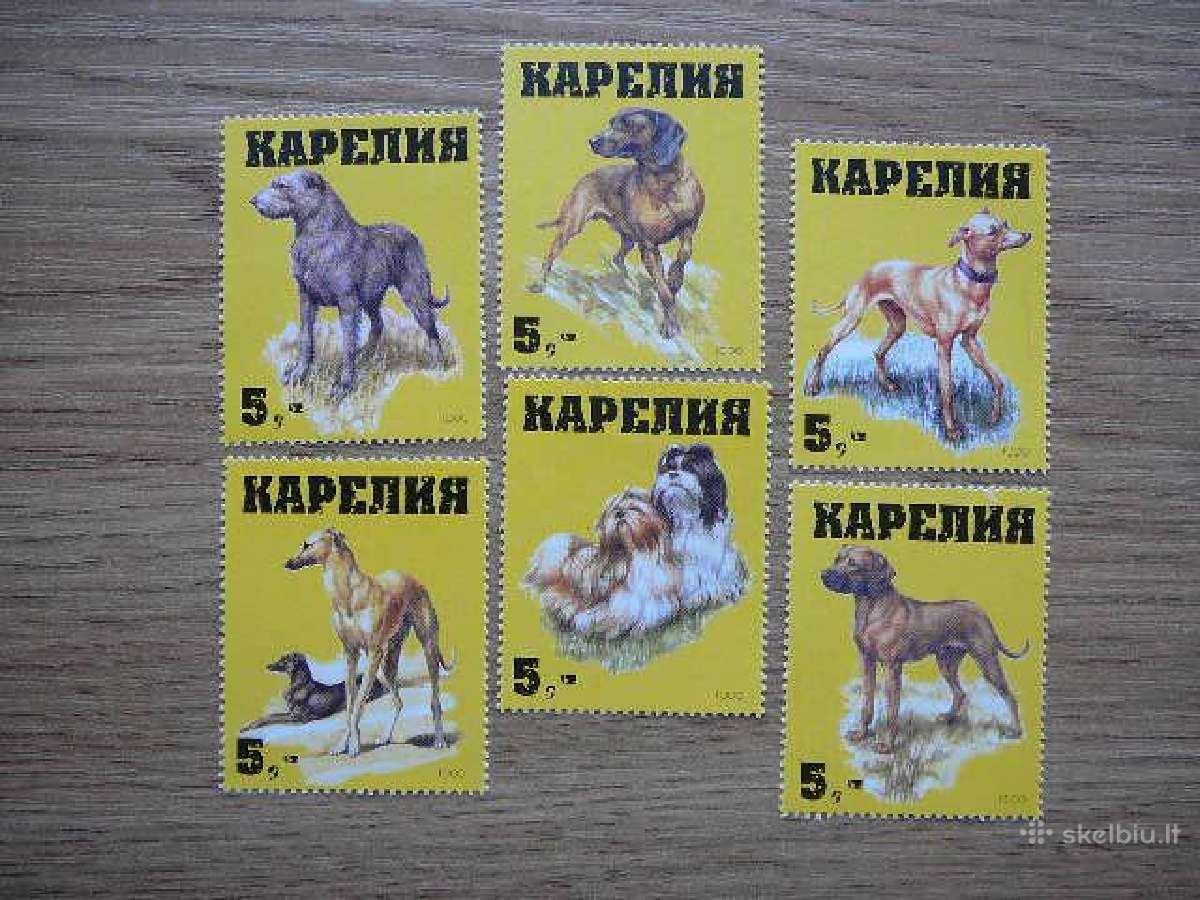 Sunys Karelija (R) 1999 svarus kr84