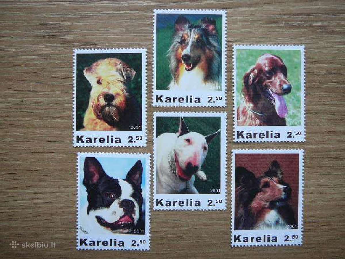 Sunys Karelija (R) 2001 svarus kr86